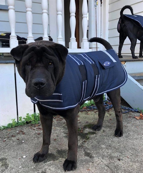 DOG JACKET WATER PROOF BREATHABLE 55cm XTRA MEDIUM- FREE SHIPPING Carousel 1