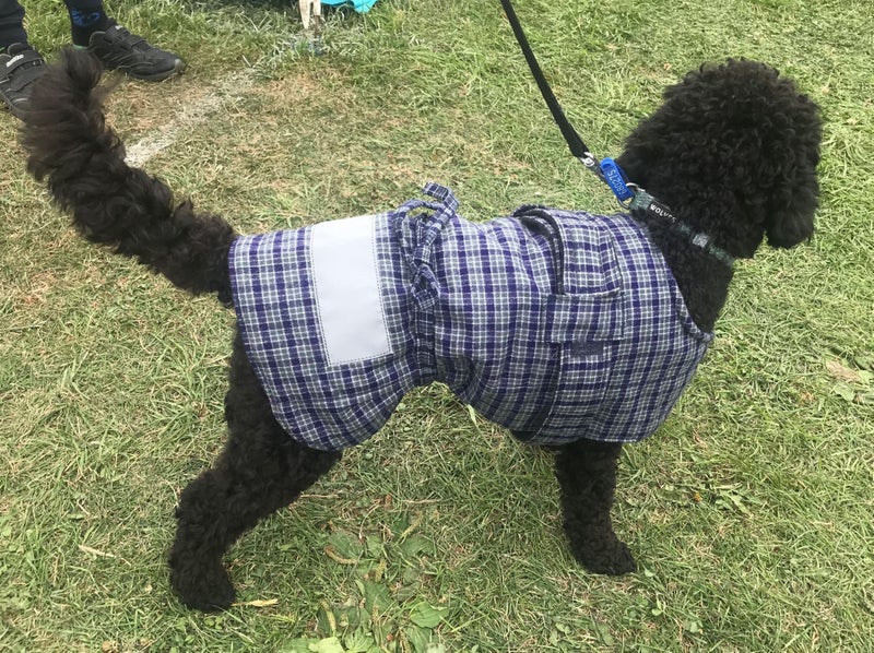 BULK STOCK CLEARANCE BUNDLE SALE - 20 X DOG JACKETS COTSWOOL TARTAN 35cm SMALL Carousel 2