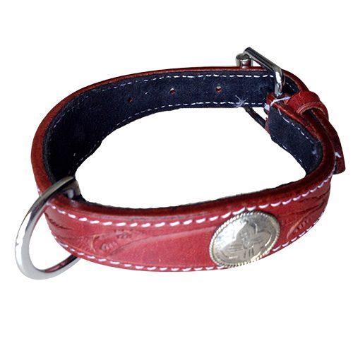 DOG COLLAR WESTERN STYLE REAL LEATHER SMALL & MED - FREE SHIPPING Carousel 1