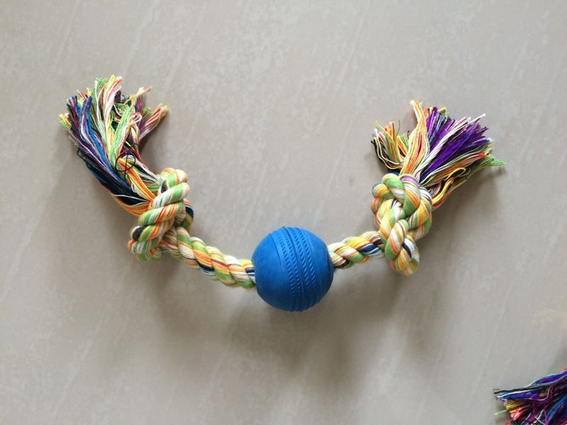 Pet Lovers Healthy Dental Chew 2XKnot Toy + A Ball Carousel 4