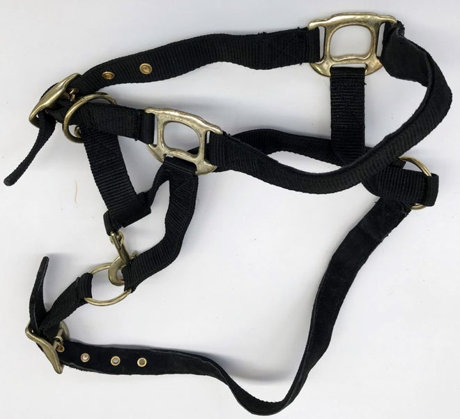 STOCK CLEARING SALE 5 X HORSE HALTERS IN FLAT PP WEBBING Carousel 1