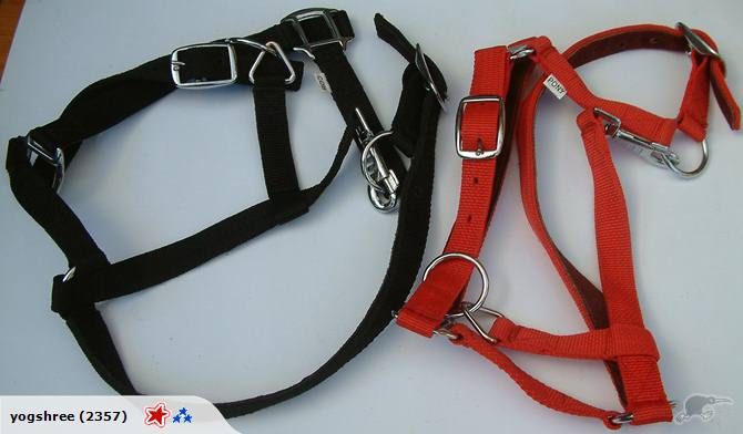 STOCK CLEARING SALE 5 X HORSE HALTERS IN FLAT PP WEBBING Carousel 5