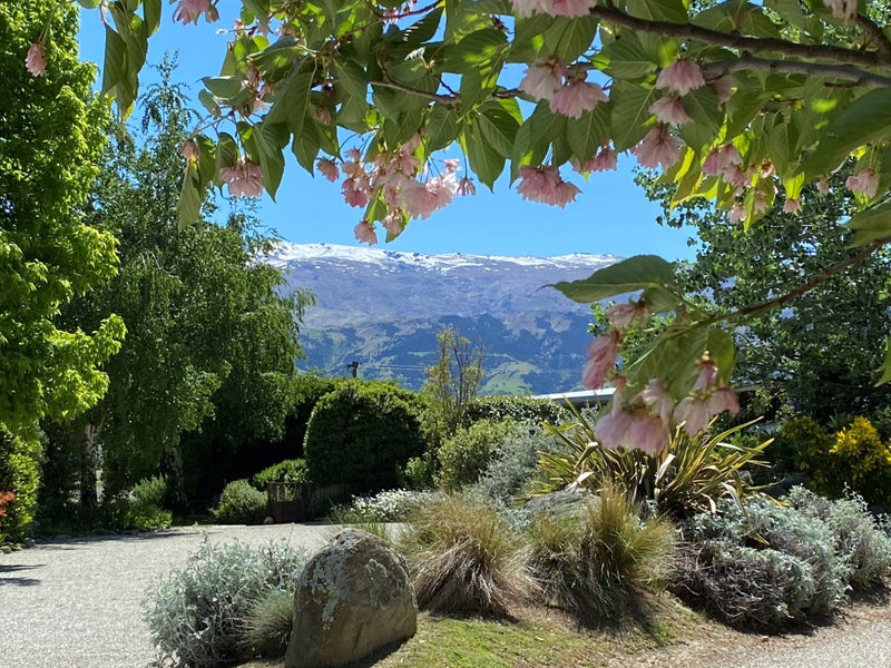 Image 1 of 40