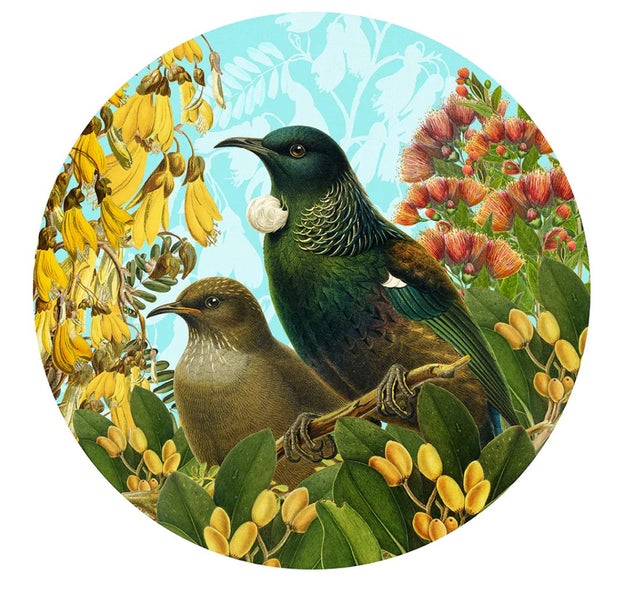 Botanical Tui Art Spots (Decal) Carousel 1