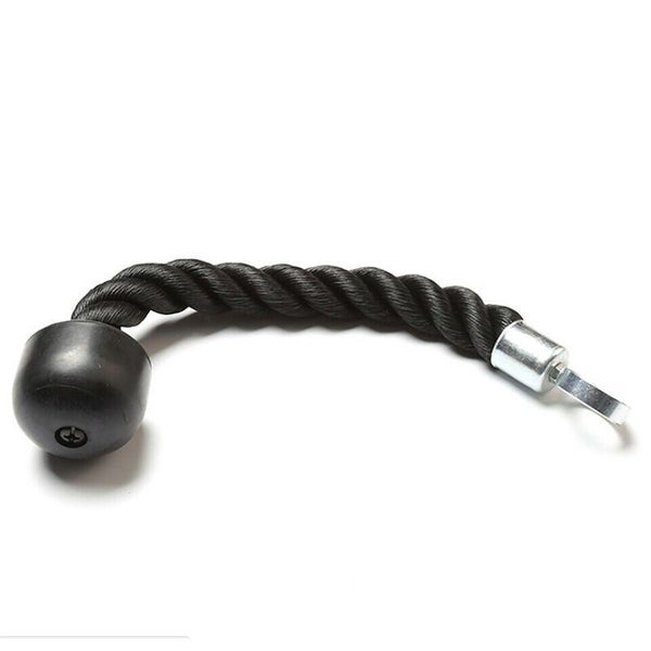 Tricep Rope Pull Down Bicep Rops Gym Exercises 3637601 Carousel 8