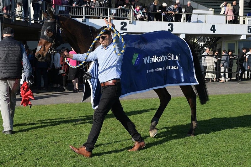 Wexford Stables Ltd Carousel 2