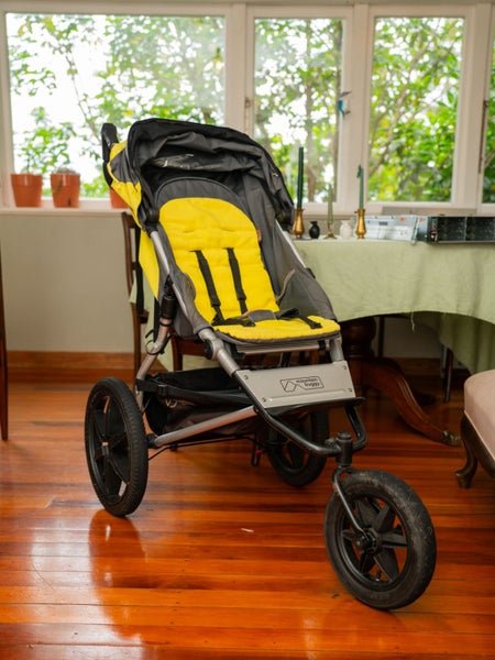 Mountain Buggy Terrain 2015 (and accessories) Carousel 1