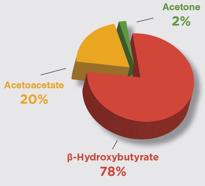 Keto Strips - BHB Ketone Test Strips Carousel 2