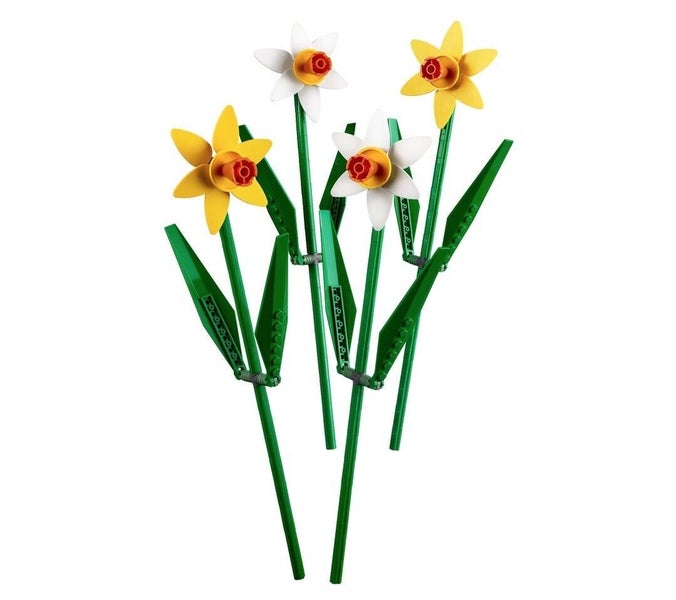 $1 RESERVE LEGO Iconic Daffodils 40646 Carousel 4