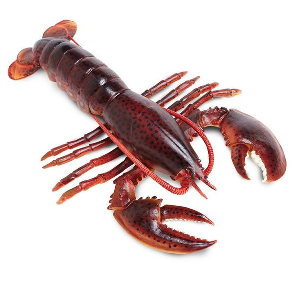 Safari Ltd Maine Lobster Carousel 1