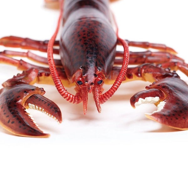 Safari Ltd Maine Lobster Carousel 4