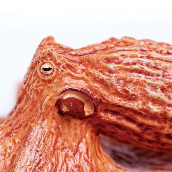 Safari Ltd Octopus Carousel 2