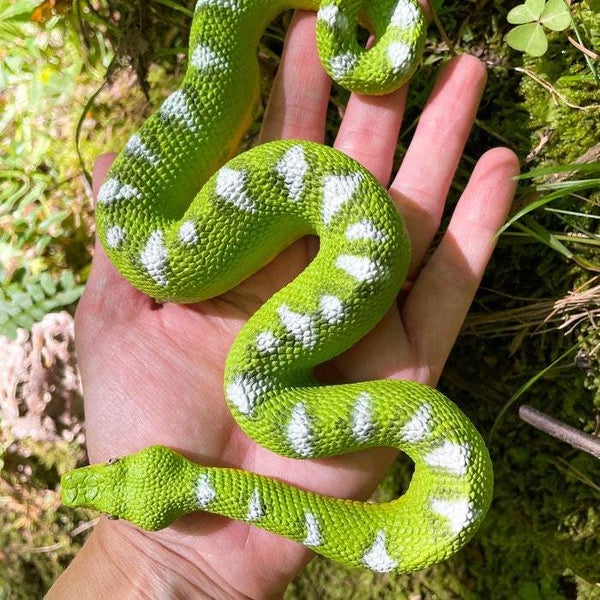 Safari Ltd Emerald Tree Boa Toy Figure Carousel 6