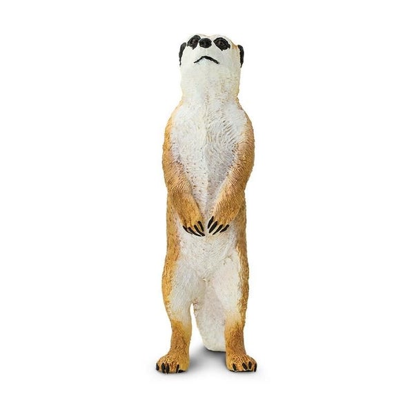 Safari Ltd Meerkat Carousel 4