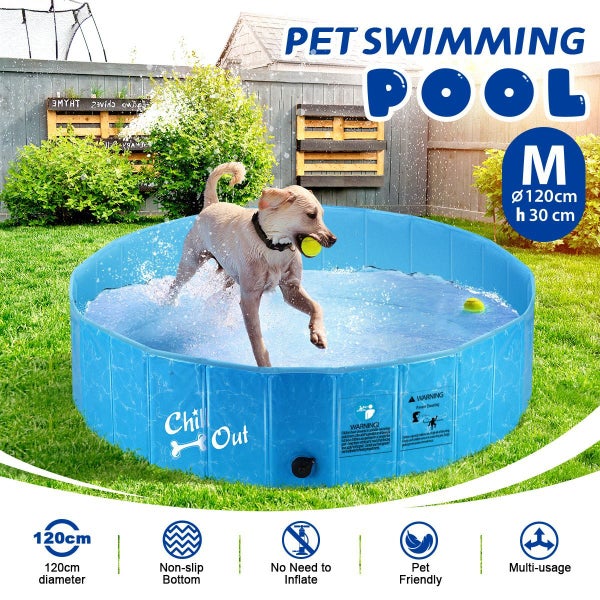 Dog Swimming Pool Carousel 10