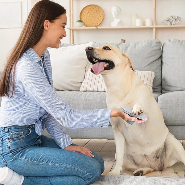 Dog Scratch Pad for Nails Carousel 2