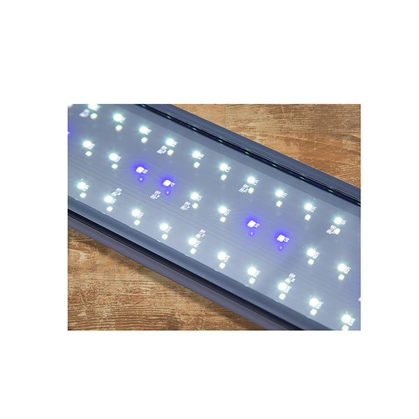 50Cm Aquarium Blue White Led 6W Carousel 2