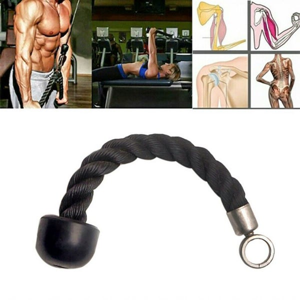 Tricep Rope Pull Down Bicep Rops Gym Exercises 3637601 Carousel 1