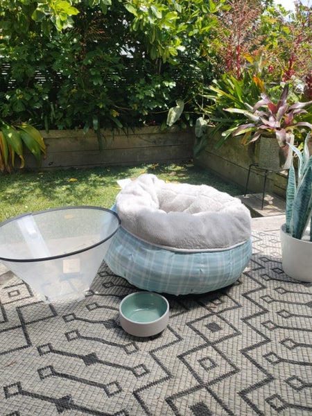 Pet 3pce combo: neck cone, Anko fleece bed, cat or dog food bowl Carousel 1