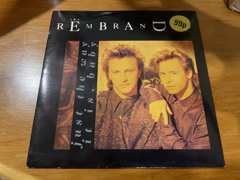 The Rembrandts - Just the Way It Is Baby 7" Vinyl Single Carousel 1