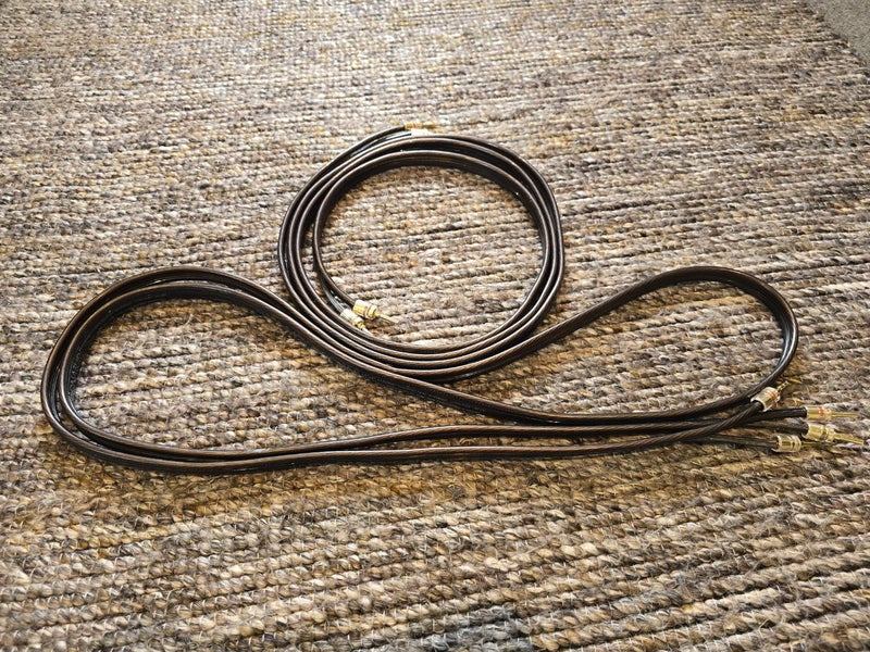Esoteric Audio Ultra Signature speaker cable Carousel 2