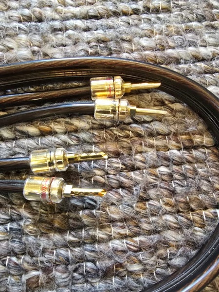 Esoteric Audio Ultra Signature speaker cable Carousel 8