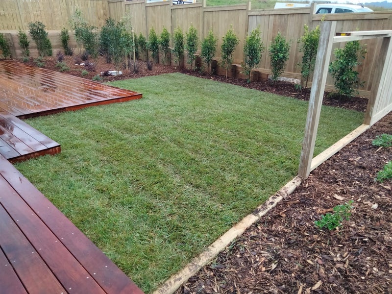 CLEARANCE! Grass / Turf Rolls 1m262991662278913112