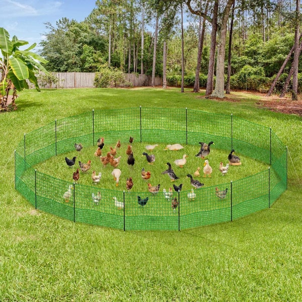 New Chicken Fence,Chicken Netting Afterpay Carousel 9