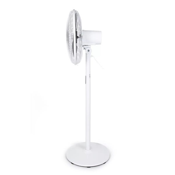 FAN Carousel 3