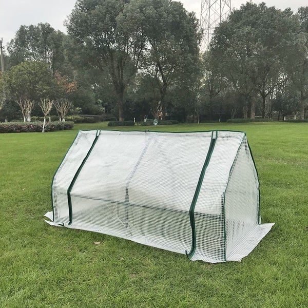 Mini Greenhouse New Carousel 4
