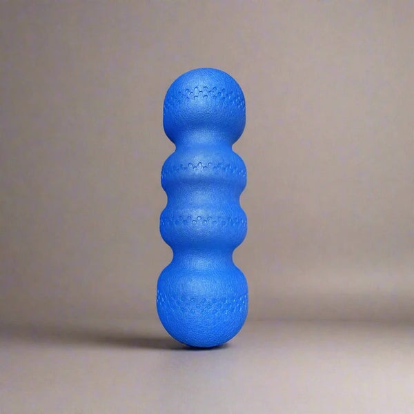 NNETM Fitness Back Roller EPP Massage Foam Roller (Blue) Carousel 3