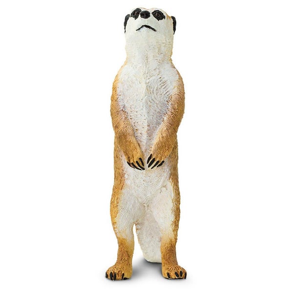 Safari Ltd Meerkat Carousel 2