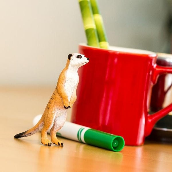 Safari Ltd Meerkat Carousel 5
