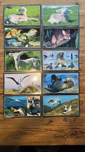 Postcards x 10 - NZ Animal / Bird Postcards - Beresford collection, incl Tuatara Carousel 1