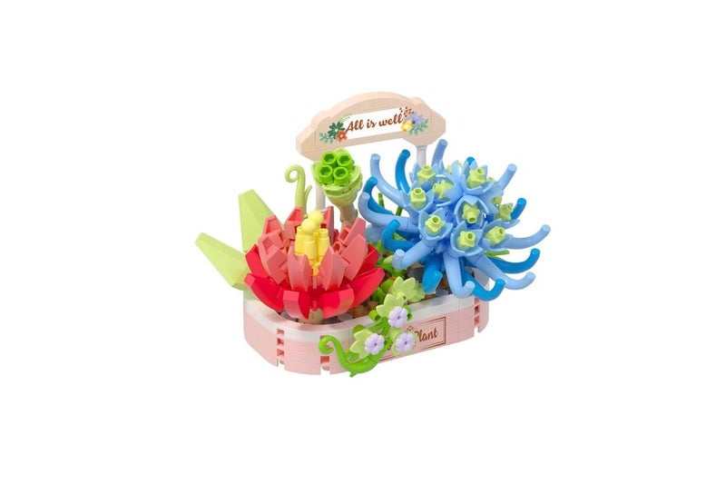 Koco Succulent Potted Plants Carousel 2