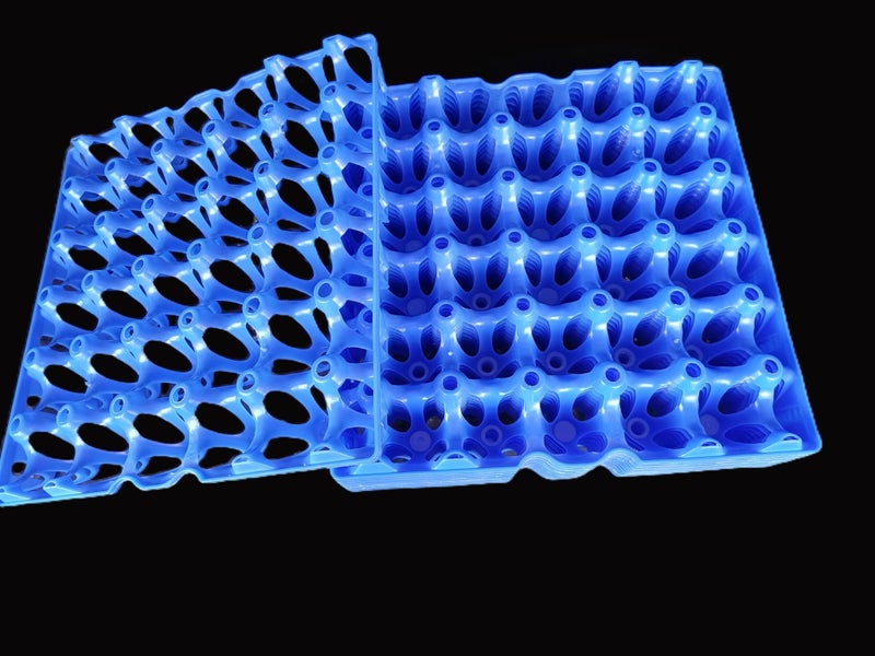 EGG TRAY PLASTIC REUSABLE BLUE X 5 Carousel 1