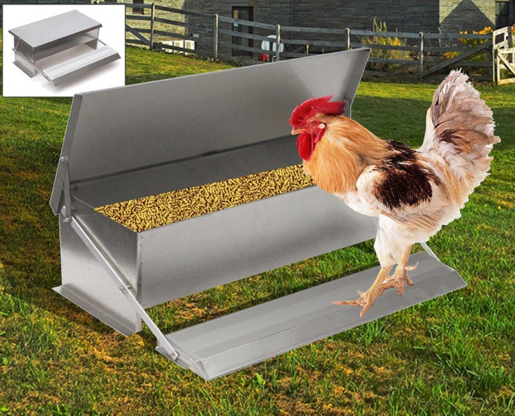 New Chicken Feeder Sale Sale Carousel 1