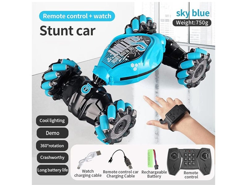 RC Car Carousel 6
