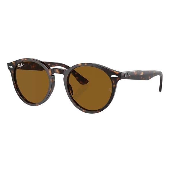 Ray-Ban Larry RB7680S 902/33 Havana Frame with Brown Lens Carousel 1