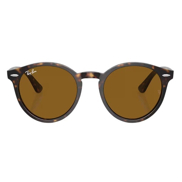Ray-Ban Larry RB7680S 902/33 Havana Frame with Brown Lens Carousel 2