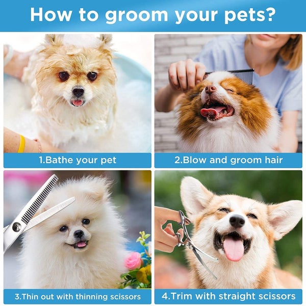 New Dog Grooming Scissors Sale Sale Carousel 7