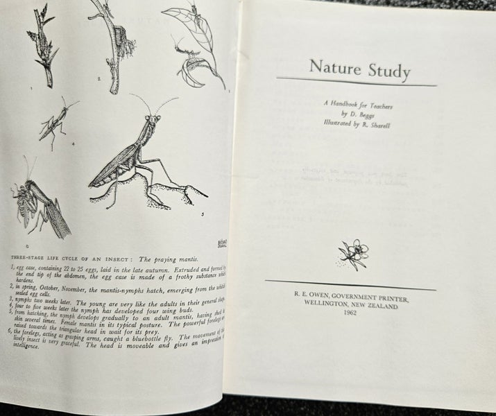 NATURE STUDY BY D.BEGGS Carousel 2