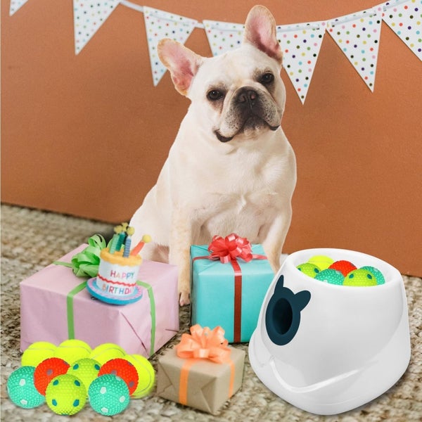 Ball Thrower for Dogs, Automatic Dog Ball Launcher , Auto Ball Thrower Carousel 5