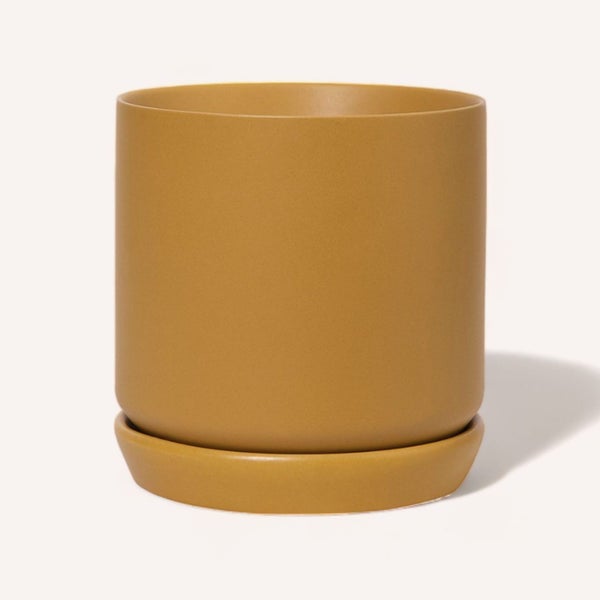 Oslo Planter by PottedNZ Carousel 1