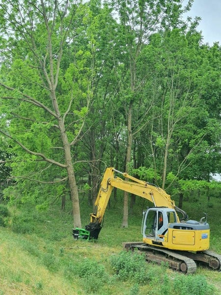 Omef BI500 Tree Shear Carousel 14