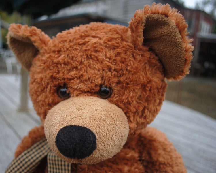 Adorable Russ Ripley Brown Teddy Bear - super cute Carousel 2