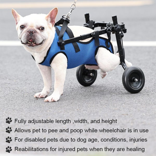 Adjustable Dog Wheelchair Size M(NZ STOCK) Carousel 6