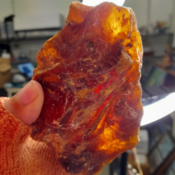 Kauri gum 900g, mix of pieces Carousel 15