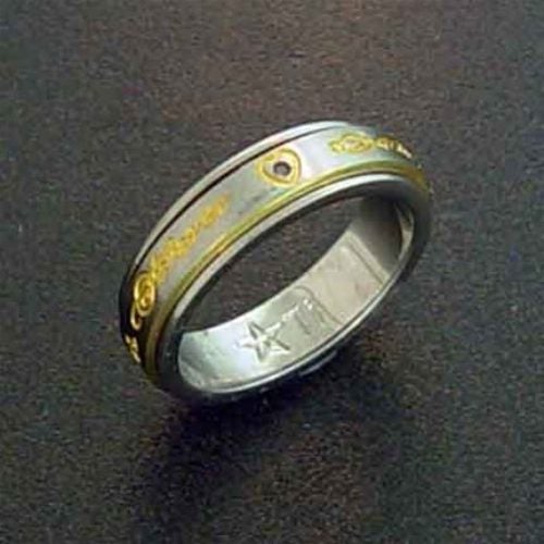 *Titanium & Diamond Rotating Band Ring* Carousel 1