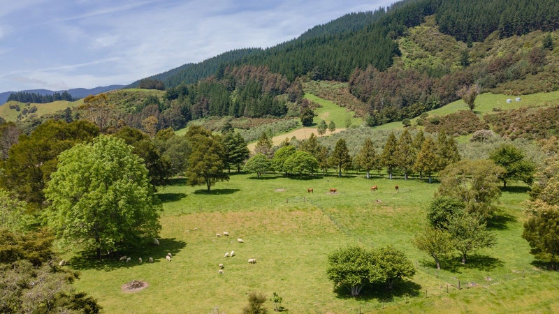 Image 3 of 24